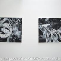Degree Show 2