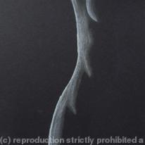 Nude 28 Black