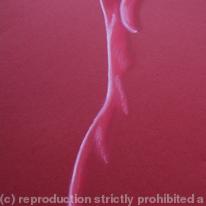 Nude 28 Red