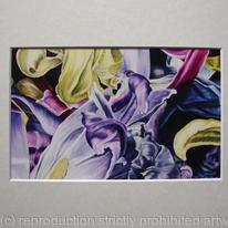 Tulipmania 14 - Print Cream Mount