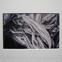 Tulipmania 6 - Print White Mount
