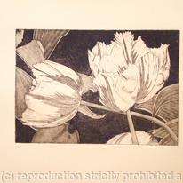 Tulipmania 3 - Etching #2