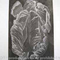 Tulipmania 20 - Etching
