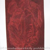 Tulipmania 20 - Etching - Red