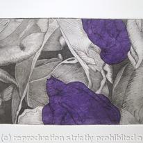 Tulipmania 19 - Etching - Purple