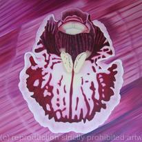 Abstract Orchid 1