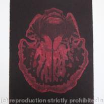 Abstract Orchid 1 - Etching - Terracotta