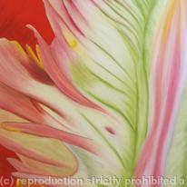Abstract Tulip 3