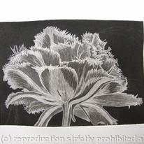 Cool Cystal Aquatint Etching B/W
