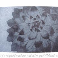Dahlia1 black