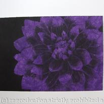 Dahlia1 purple