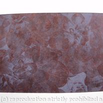Dahlia 2 brown