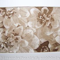 Dahlia 2 sepia