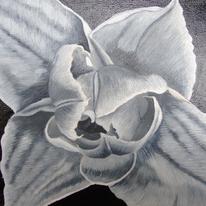Compostella Tulip B/W