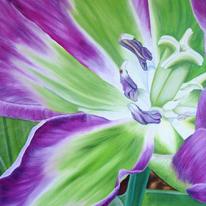 Rai Tulip