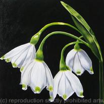 Snowdrop 1