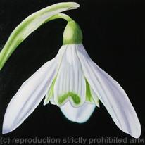 Snowdrop 2