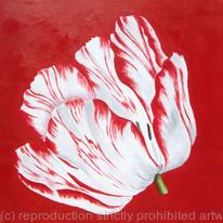 Sm Red Tulip 1