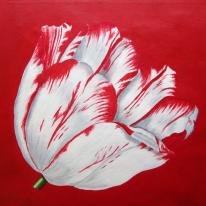 Sm Red Tulip 2