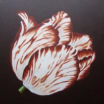 Sm Brown Tulip 1