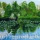 Green Reflections