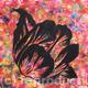 Abstract Tulip