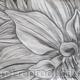 Large Graphite Dahlia…