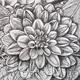 B/W Dahlia Flower 3