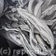 Tulipmania 6 - Black…