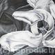 Tulipmania 8 - Black…