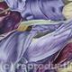 Tulipmania 4 - Colour