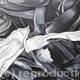 Tulipmania 10 - Black…