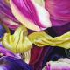 Tulipmania 12 - Colour