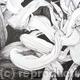 Tulipmania 11 - Pen
