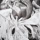 Tulipmania 16 - Pen