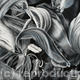 Tulipmania 17 - Black…