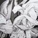 Tulipmania 18 - Pen