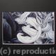 Tulipmania 11 - Print…