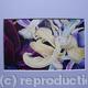 Tulipmania 11 - Print…