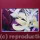 Tulipmania 11 - Print…
