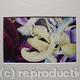 Tulipmania 11 - Print…