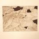 Tulipmania 14 - Etching…