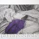 Tulipmania 12 - Etching…