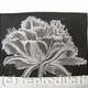 Cool Cystal Aquatint…