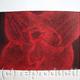 Compostella Tulip Aquatint…
