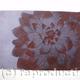 Dahlia1 brown