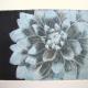 Dahlia1 lt blue
