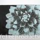 Dahlia1 turq