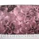 Dahlia 2 pink