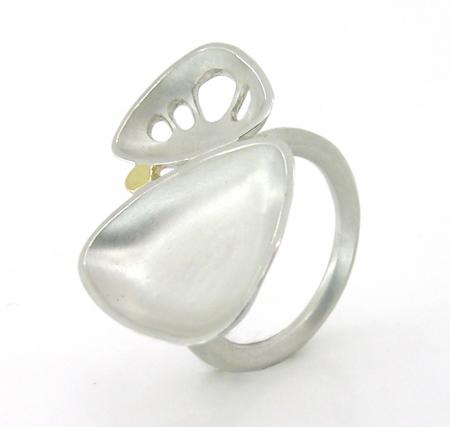 xylem double ring